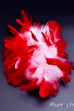 Tacchina ciocca - diam. 18 cm - bianco-rosso